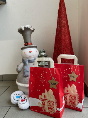 A Weihnachtstüte für Katzen