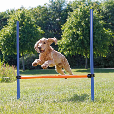 Fun Agility Hürde - 123 × 115 cm, ø 3 cm