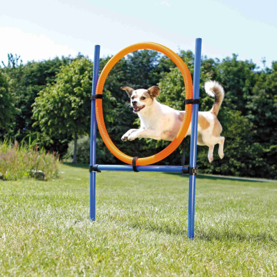 Fun Agility Ring - 115 × ø 3 cm, ø 65 cm