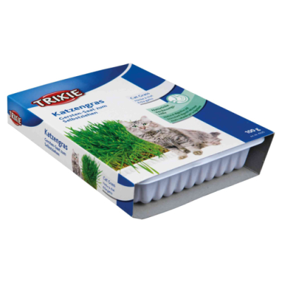 Katzengras 100 g Schale