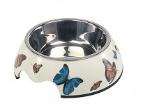 Napf Butterfly