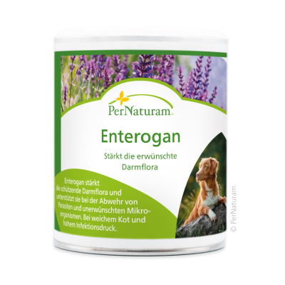 PerNaturam Enterogan 100 g