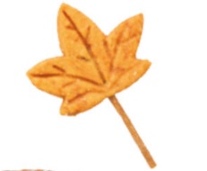 Trixie Maple Leaf mit Hühnerbrust