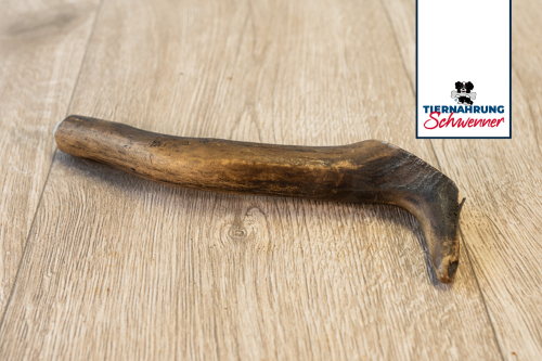 Geweihstück vom Hirsch - 1 Stück Geweihstück vom Hirsch - 1 Stück
