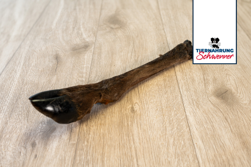 Hirschbein mit Fell 1 Stück Hirschbein mit Fell 1 Stück