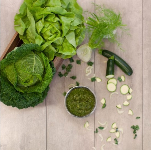 Jumping Spike Bio Wellness 250 g BARF Jumping Spike Bio Wellness 250 g BARF