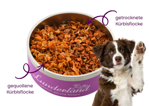 Lunderland Kürbisflocken 125 g