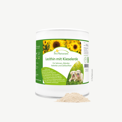 PerNaturam Lecithin mit Kieselerde